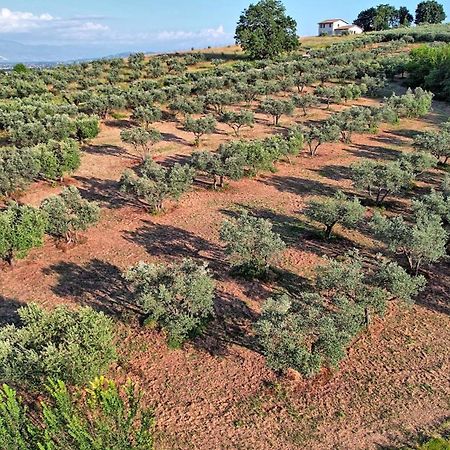 Agriturismo Incanto Della Natura Cannara Εξωτερικό φωτογραφία